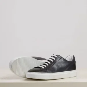 Doucal's Sneaker Harley